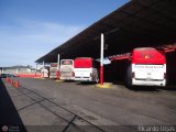 Garajes Paradas y Terminales Carupano