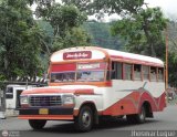 Transporte El Jaguito 07 Blue Bird Mini Bird Ford B-350