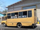 ZU - Colectivo Pomona 21