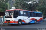 Transporte Unido (VAL - MCY - CCS - SFP) 056