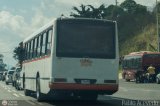 A.C. de Transporte Encarnaci�n 347