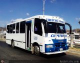 Transporte Virgen del Carmen 19, por Andrs Ascanio