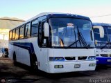 DC - M.S. El Amanecer de la Rinconada 2019 090 por �ngel Sal�n