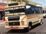 ZU - Los Claveles 31, por Abner Sarcos