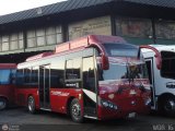 Lnea Unin S.C. 82 Yutong ZK6896HGA GNC Integral Cummins EQB210-20