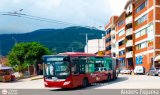 Trolmerida - Tromerca 02