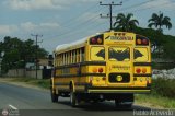 CA - TransDrcula 177 Thomas Built Buses Conventional International 3600