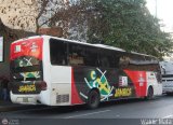Lnea Lara 005, por Waldir Mata