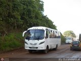 Transporte Virgen del Carmen 87