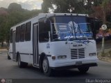 MI - Transporte Uniprados 020