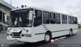Transporte El Esfuerzo 01, por Daniel Fernndez