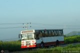 Transporte Guacara 2008