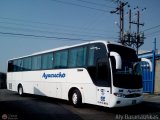 Unin Conductores Ayacucho 2045, por Aly Baranauskas