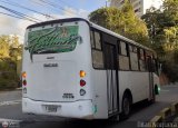 Transporte Privado Joaranny 203
