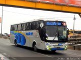 E.T. Maleo VIP (Per) 951