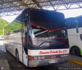 Cruceros Oriente Sur 101 Man Lions Star Man 18.420