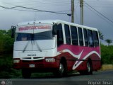 Transporte Virgen del Carmen 43, por Royner Tovar