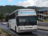 Expresos Bayavamarca  por Alvin Rond�n