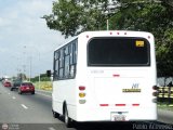 A.C. Cristbal Rojas 101 Intercar New Borota Iveco Daily 70C16HD