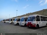 Garajes Paradas y Terminales Catia-La-Mar Encava E-NT510 Iveco Daily 70C16HD