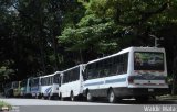 Garajes Paradas y Terminales Caracas Intercar Urbano I Mitsubishi Serie Canter