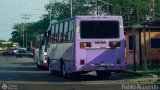 A.C. Transporte Campesino 00