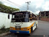 A.C. Transporte Paez 099 por Foto Para El Recuerdo