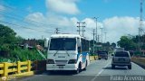A.C. de Transporte Encarnaci�n 037