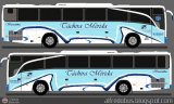 Diseos Dibujos y Capturas TM-113 Carroceras Urea Platinum Chevrolet LV150
