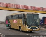 Transporte Flores Hermanos S.R.L (Per) 957, por Leonardo Saturno