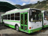 DC - AsoCoproColectivos 994 LiAZ 5256  