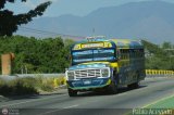 Transporte Colectivo Palo Negro 50