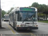 Broward County Transit 0739