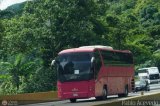 Uso Oficial 1038 Maz 251 Maz 251