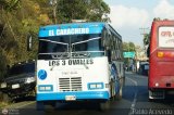 DC - Unin Conductores Ral Leoni 05