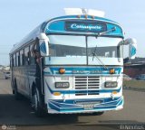 Colectivos Guasare C.A 029