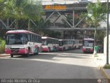 Garajes Paradas y Terminales Los Teques Marcopolo Allegro GV Volvo B58