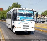 Transporte Virgen del Carmen 41