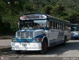 Transporte Colectivo Palo Negro 063 Blue Bird Convencional No Integral International 3800
