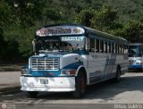 Transporte Colectivo Palo Negro 63