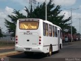 Transporte Gran Mariscal Sucre C.A. 46, por M�guel Pino