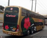 Cetur S.R.L. 952 Busscar Panormico DD Scania K440