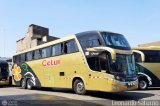 Cetur S.R.L. 956, por Leonardo Saturno