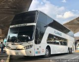 Expresos Flamingo 0091