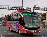 Particular 957, por Leonardo Saturno