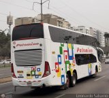 Expreso Internacional Palomino 7036, por Leonardo Saturno