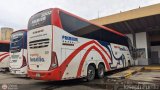 Expreso Brasilia 8002
