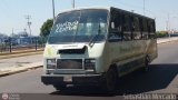 ZU - Transbusmara 008
