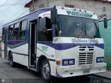 L�nea La Pastora 29 por Daniel Silva