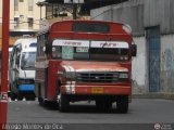 MI - Coop. de Transporte Las Cadenas 0x Wayne Cnvncional Corto Trompita03 Ford B-350